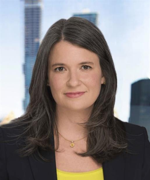 Attorneys The Prinz Law Firm